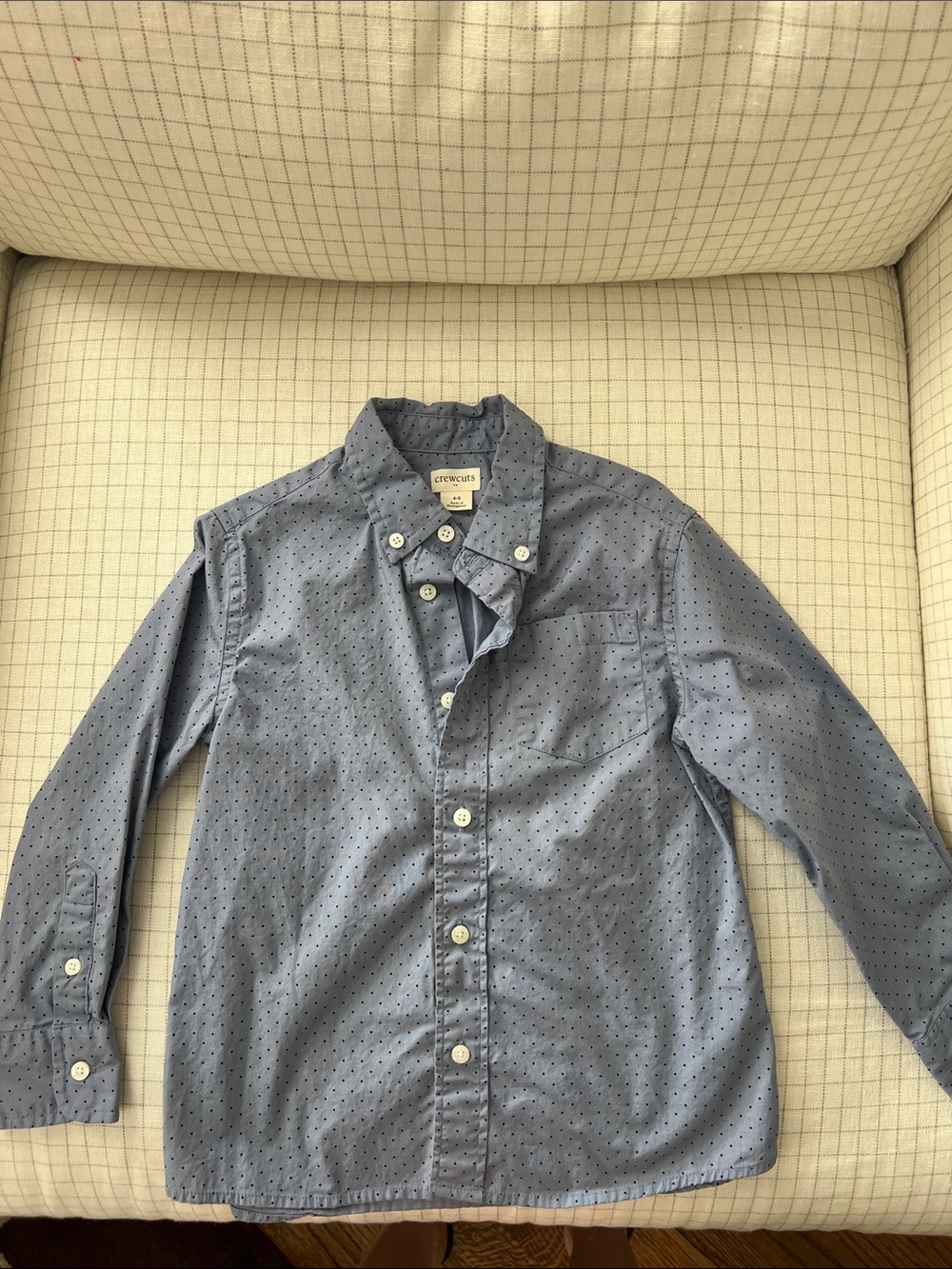 J. Crew Light Blue Micro Dot Button-Down Shirt